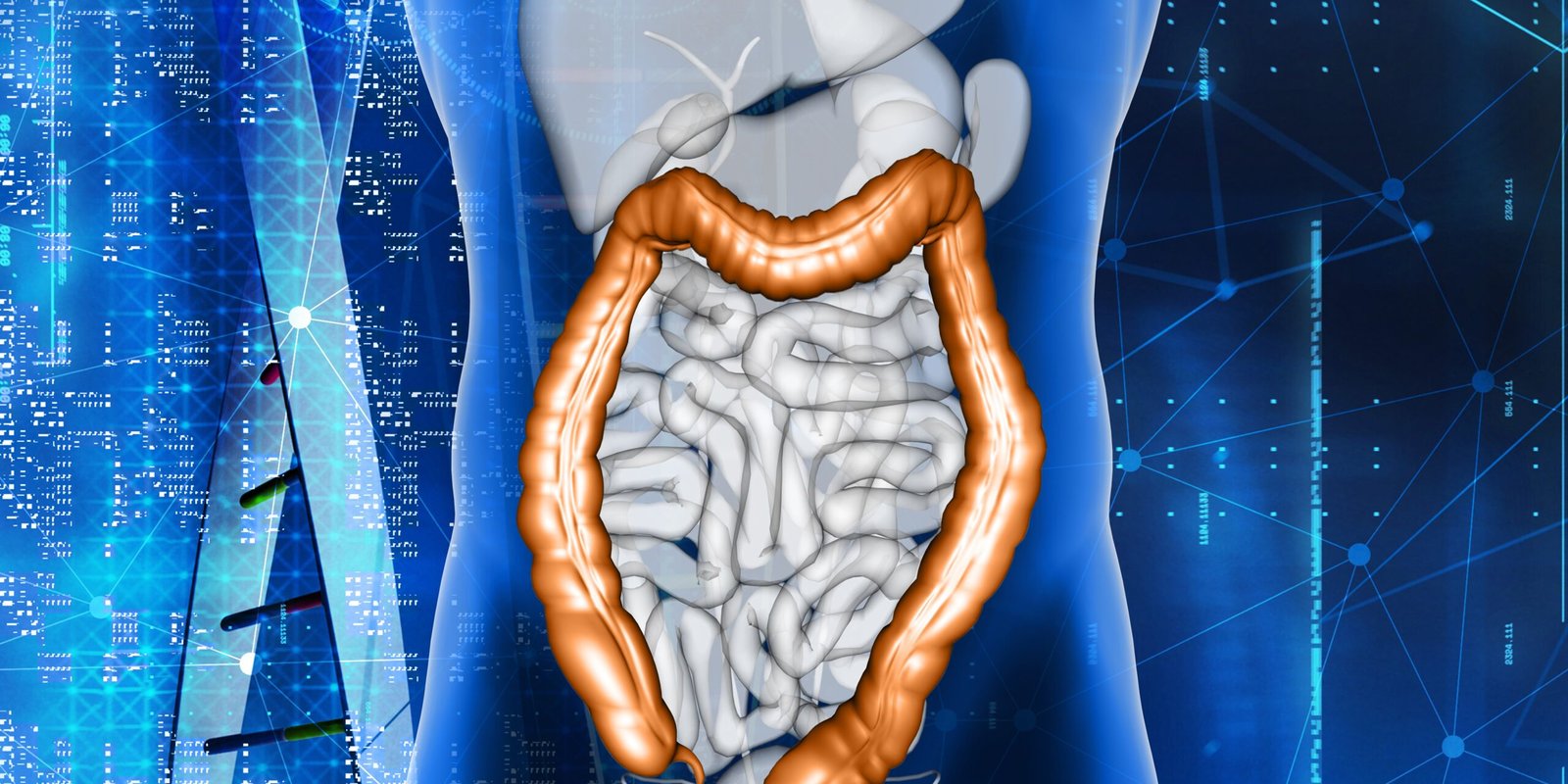 large intestine