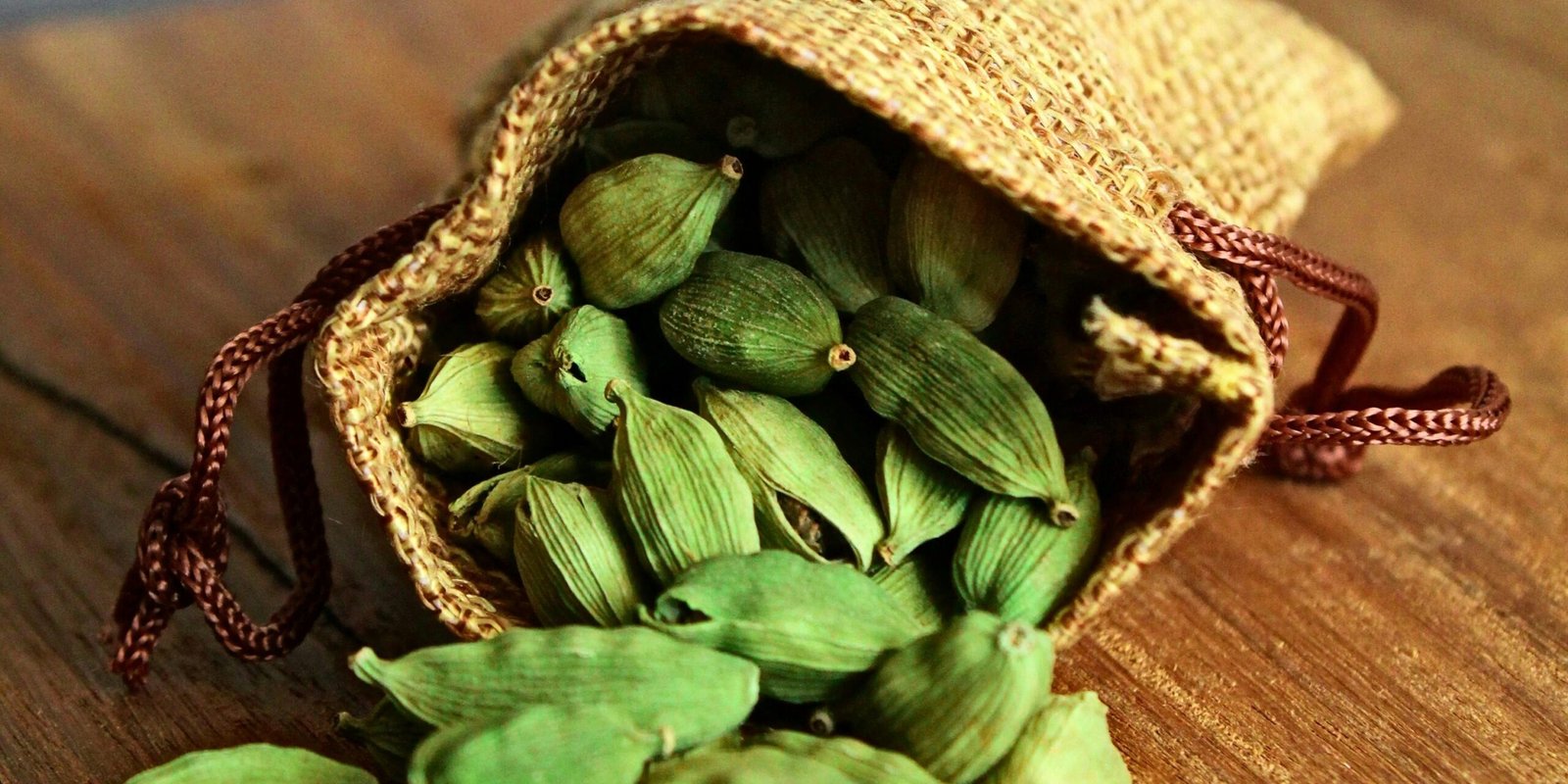 Aromatic Alchemy: Cardamom’s Journey to Great Wellness